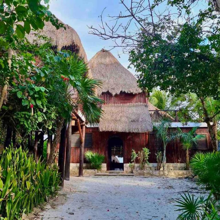 Soliman bay beachfront bungalows - Villa con piscina privada - 8