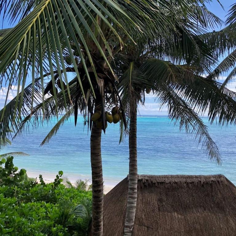 Soliman bay beachfront bungalows - Villa con piscina privada - 9