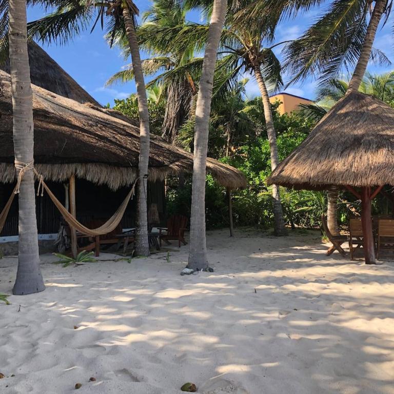 Soliman bay beachfront bungalows - Villa con piscina privada - 18