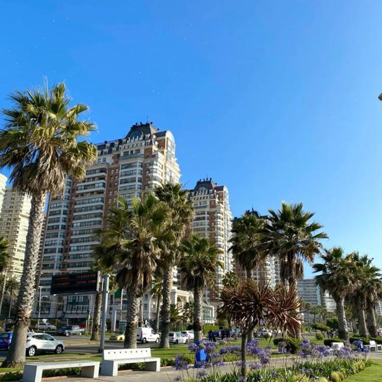 Departamento de Vacasiones Viña del Mar 2026 - Two-Bedroom Apartment - 13