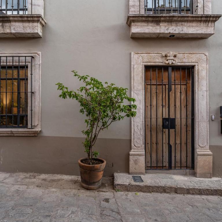 Casa del Palmar, Elegant 3BR Home with Rooftop in Centro San Miguel - Casa de 3 dormitorios - 31