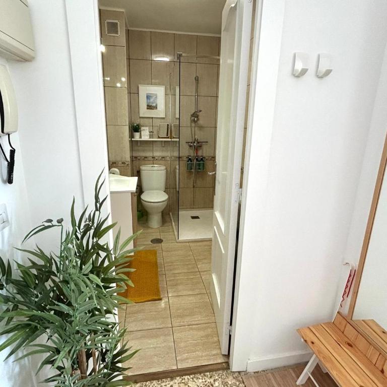 Apartamento DIMA zona Torrecilla - Apartamento de 1 dormitorio - 15