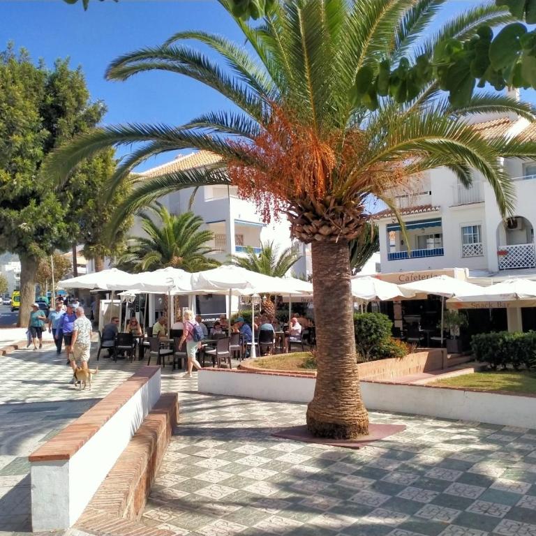 Apartamento DIMA zona Torrecilla - Apartamento de 1 dormitorio - 24