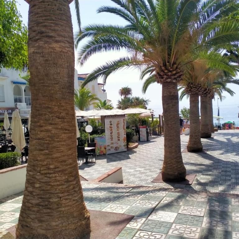 Apartamento DIMA zona Torrecilla - Apartamento de 1 dormitorio - 25