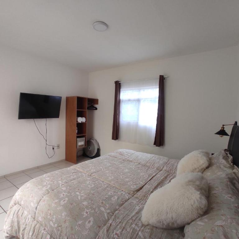 Departamento Privado - Apartamento de 1 dormitorio - 2