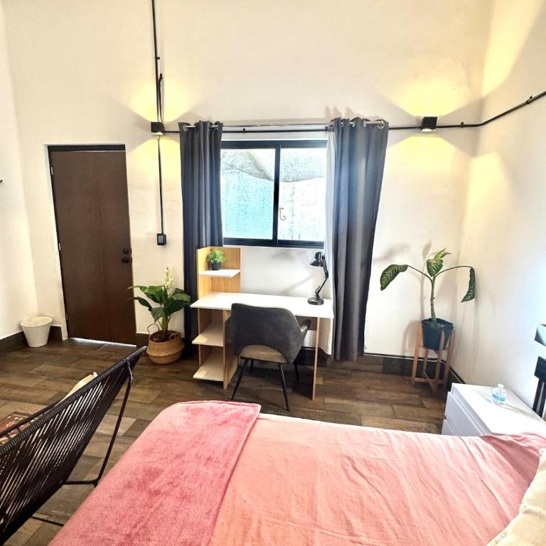 Large, well-lit apartment 4 - One-Bedroom Apartment - 16