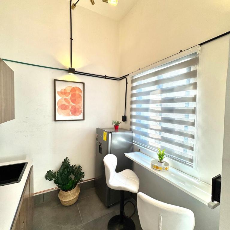 Large, well-lit apartment 4 - One-Bedroom Apartment - 18
