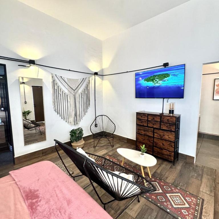 Large, well-lit apartment 4 - One-Bedroom Apartment - 21