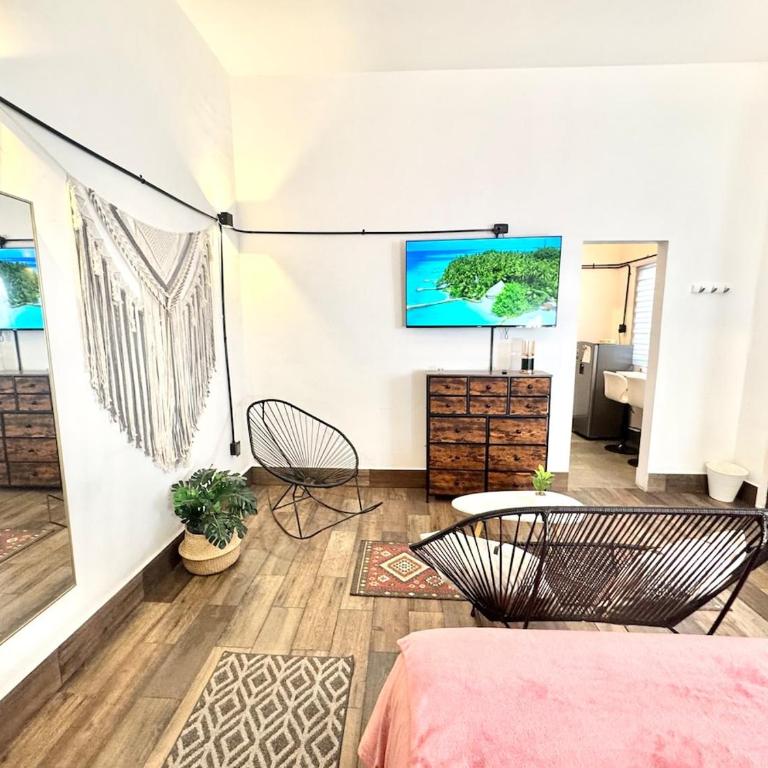 Large, well-lit apartment 4 - One-Bedroom Apartment - 23