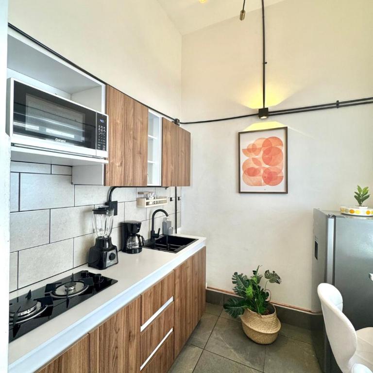 Large, well-lit apartment 4 - One-Bedroom Apartment - 25