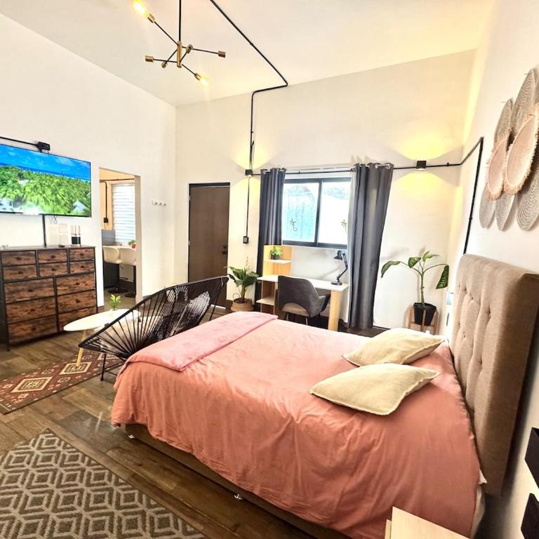 Large, well-lit apartment 4 - One-Bedroom Apartment - 3