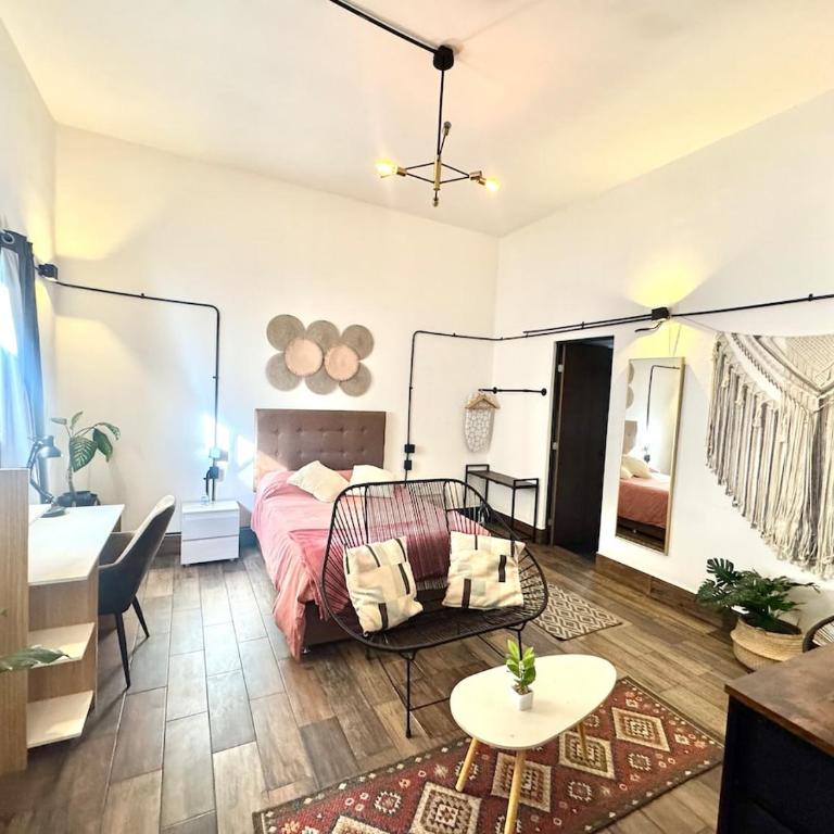 Large, well-lit apartment 4 - One-Bedroom Apartment - 27