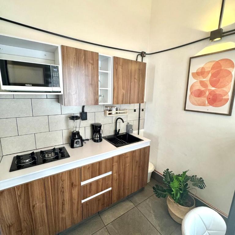 Large, well-lit apartment 4 - One-Bedroom Apartment - 30