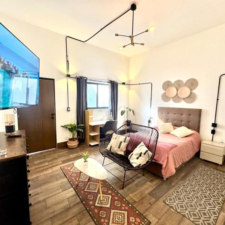 Large, well-lit apartment 4 - One-Bedroom Apartment - 31