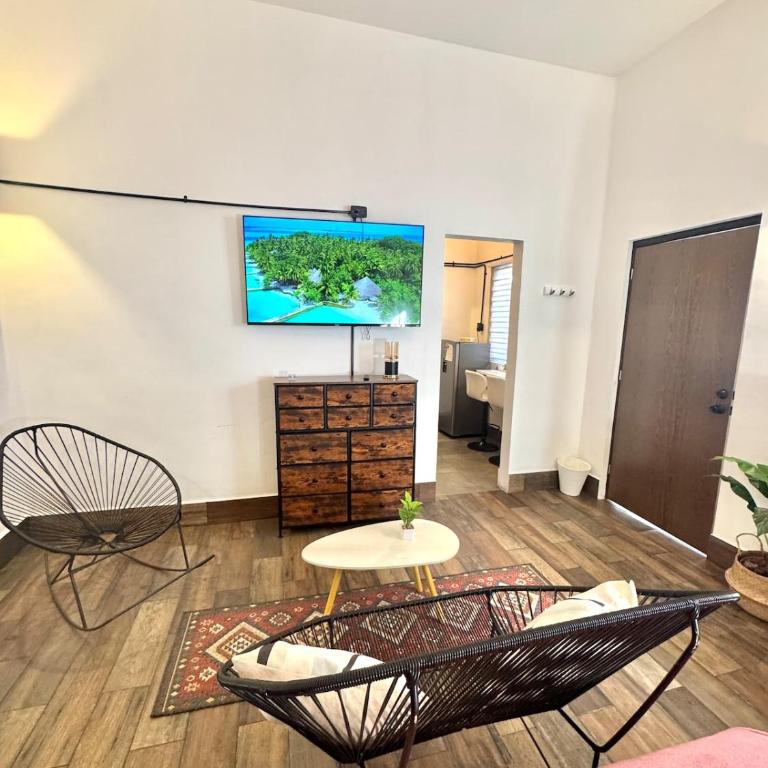 Large, well-lit apartment 4 - One-Bedroom Apartment - 17
