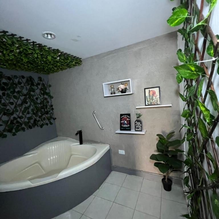 Apartamento moderno cerca a Clinica Abner Lozano - Apartamento Deluxe de 1 dormitorio con vistas al jardín - 1