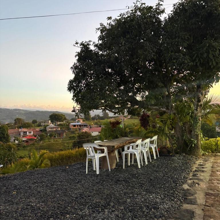 Casa Palestina - Four-Bedroom House - 12