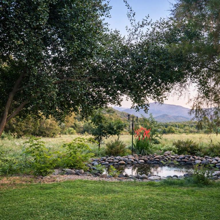 Cabañas de Campo Colbún - Apartment with Garden View - 37