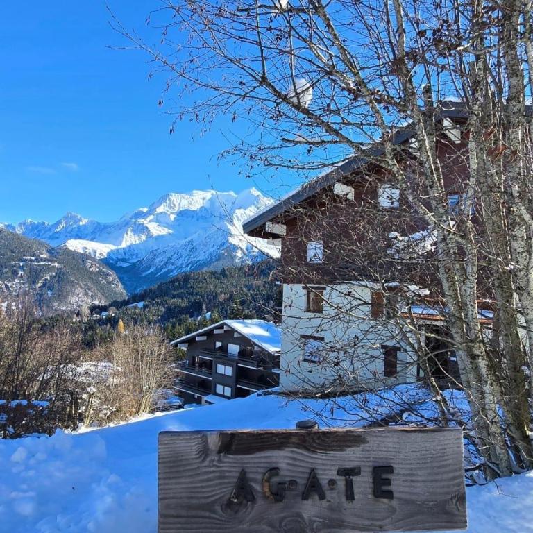 Cocon Saint-Gervais - Appartement 1 Chambre - 13