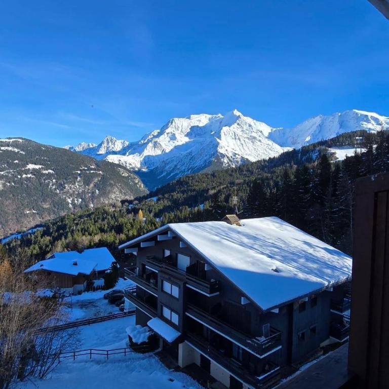 Cocon Saint-Gervais - Appartement 1 Chambre - 27