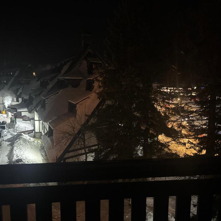 Vila Kopaonik Apartmani Milenkovic - Standardni Trokrevetni Studio - 2