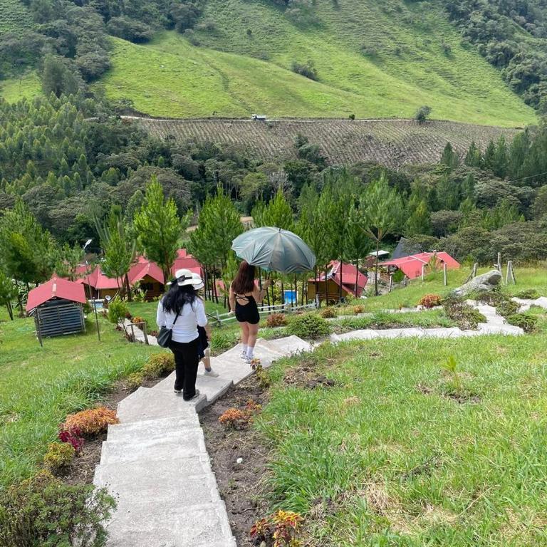 Lodge La Arboleda - Oxapampa - Chalet Superior - 5