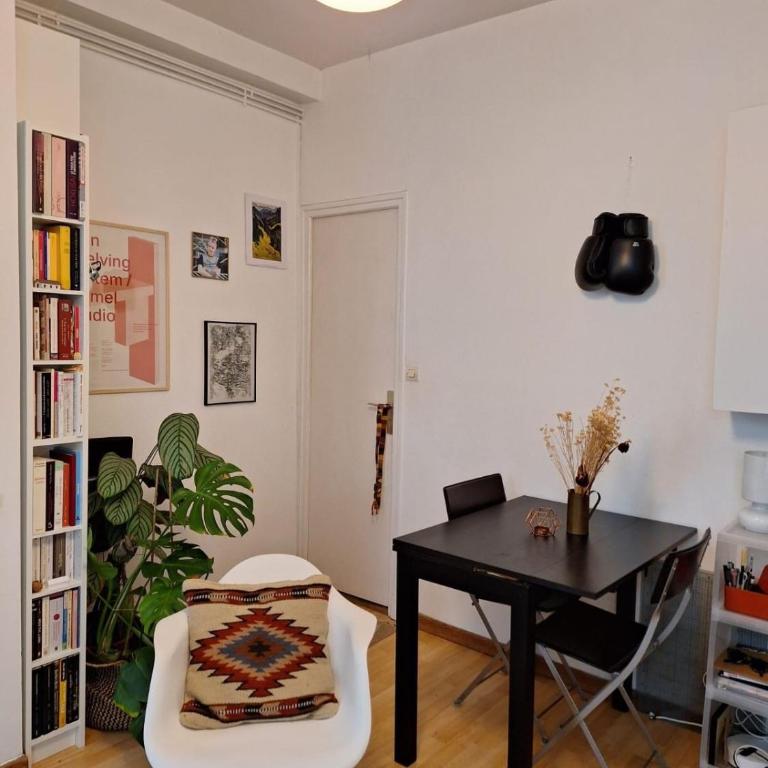 Cozy home, very well located - Appartement 1 Chambre - 3