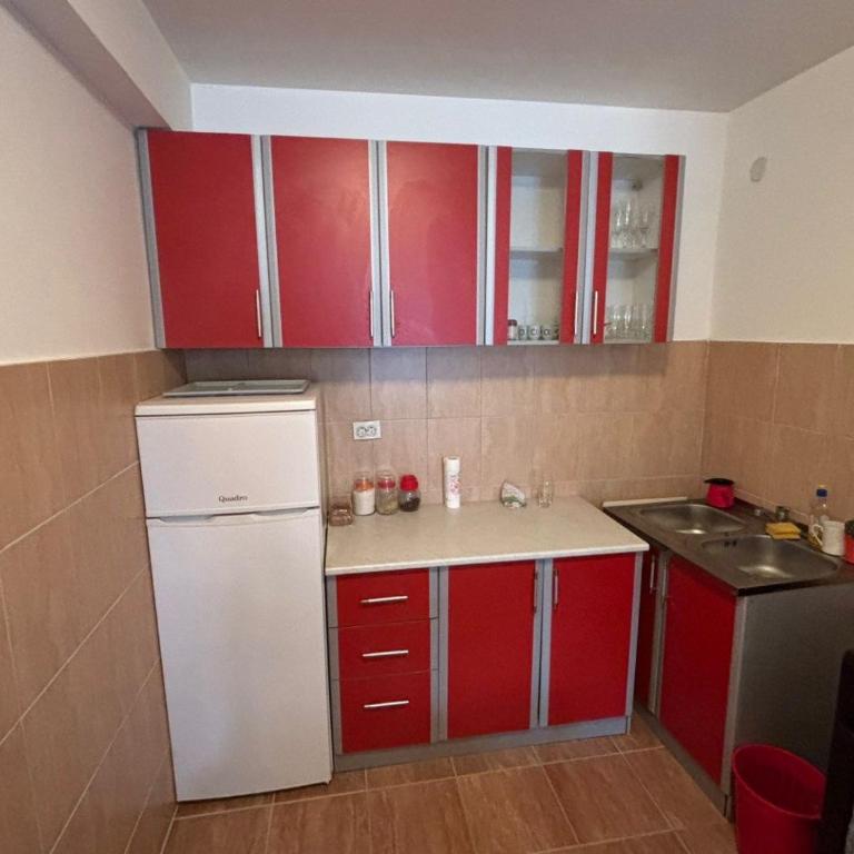 Kolasin Rent Apartment - Apartman sa 1 Spavaćom Sobom - 2