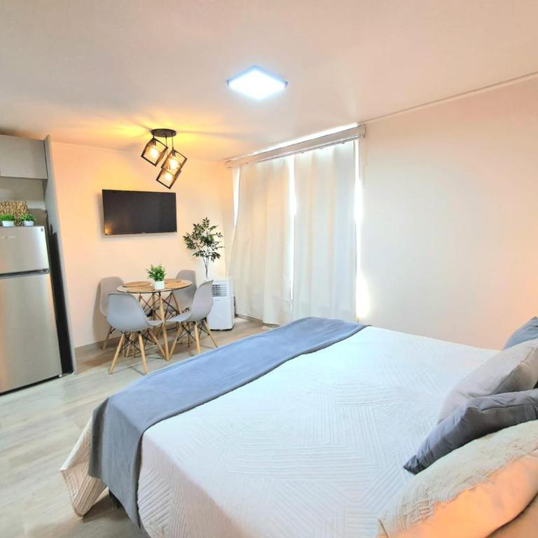 Departamento estudio frente a salida de metro en Santiago - One-Bedroom Apartment - 8