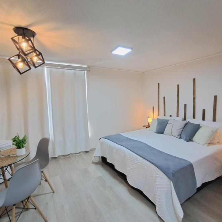 Departamento estudio frente a salida de metro en Santiago - One-Bedroom Apartment - 4