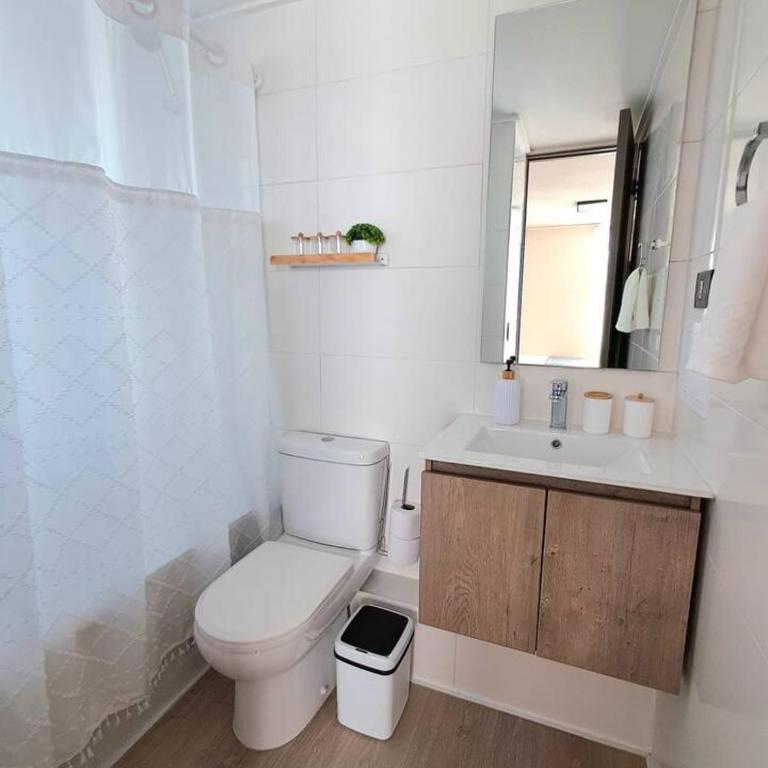 Departamento estudio frente a salida de metro en Santiago - One-Bedroom Apartment - 19
