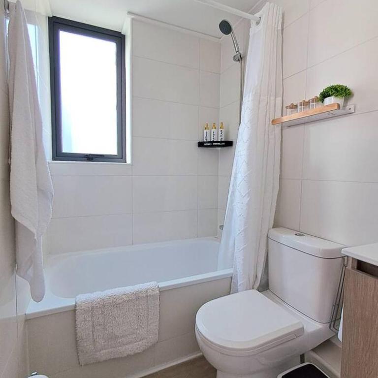 Departamento estudio frente a salida de metro en Santiago - One-Bedroom Apartment - 20