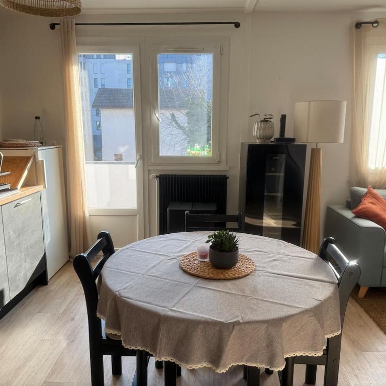 T2 Calme et lumineux Annecy avec parking privé - Appartement 1 Chambre - 10