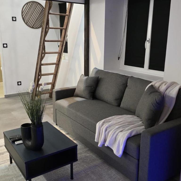 Studio orleans - Appartement 2 Chambres - 4