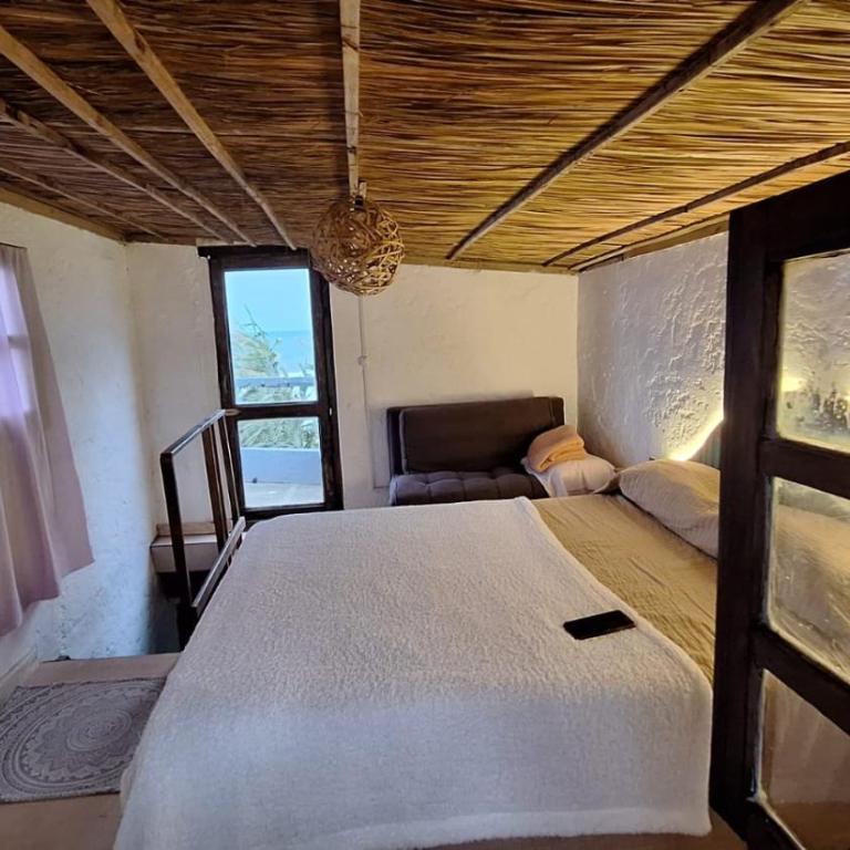 Eywa - Casa de 2 dormitorios - 11
