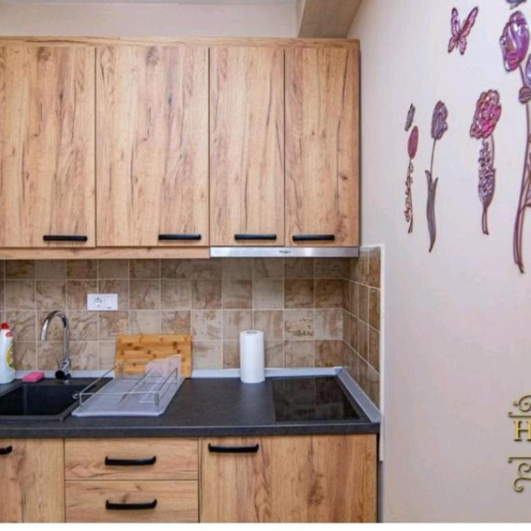 apartmani LM - Deluks Apartman s 1 Spavaćom Sobom i Pogledom na Vrt - 12