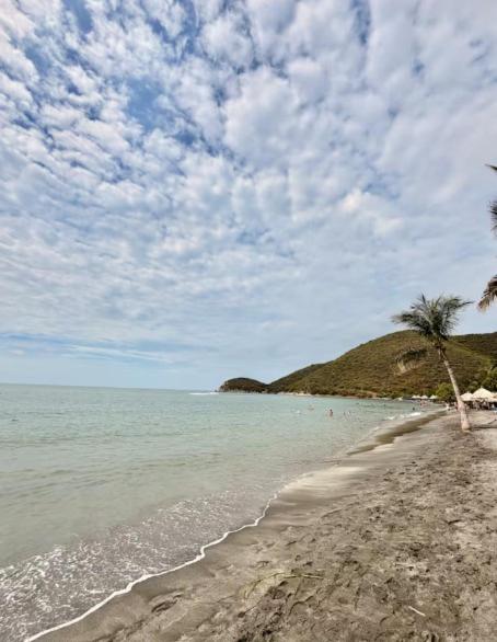 Seaside Suite Steps from Pozos Colorados Beach - Apartamento de 1 dormitorio - 18