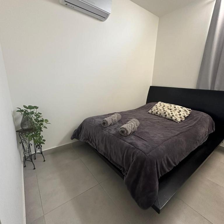 Departamento en el centro de la Ciudad - Two-Bedroom Apartment - 9