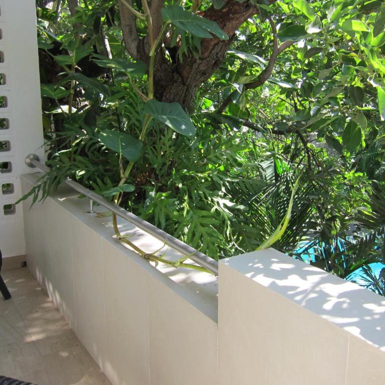 Casa 22 Merida - Appartement 1 Chambre Deluxe - 16