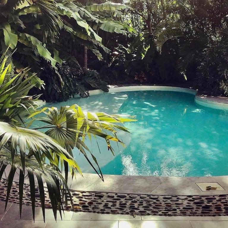 Casa 22 Merida - Appartement 1 Chambre Supérieur - 1
