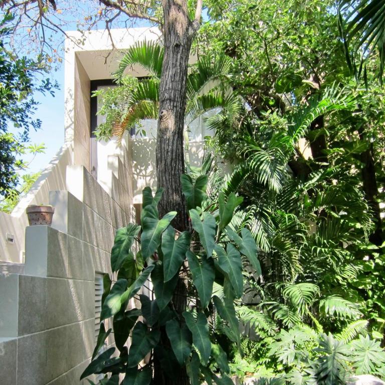 Casa 22 Merida - Appartement 1 Chambre Deluxe - 20