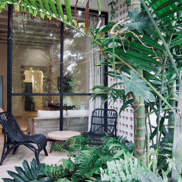 Casa 22 Merida - Appartement 1 Chambre Supérieur - 19