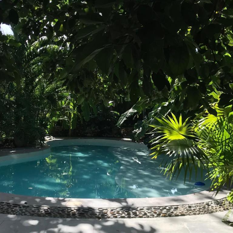 Casa 22 Merida - Appartement 1 Chambre avec Jardin - 12