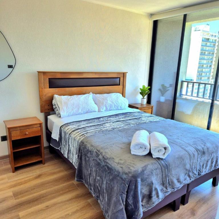 Grande y espacioso departamento cercano al centro - Apartamento de 1 dormitorio - 1