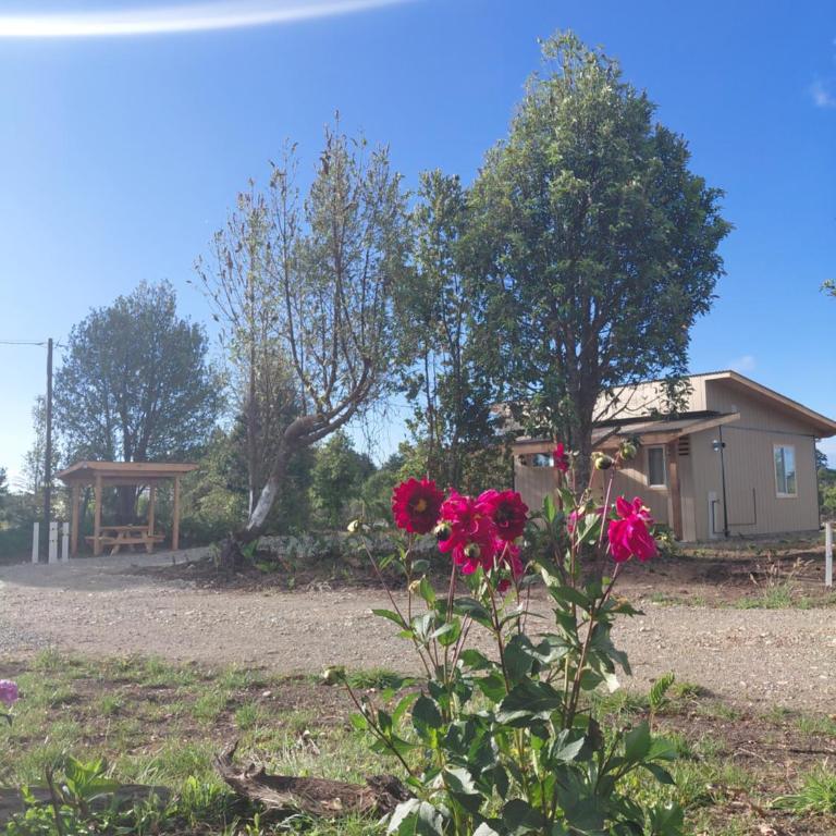 Tiny House 4 Aeropuerto el Tepual - One-Bedroom Apartment - 2