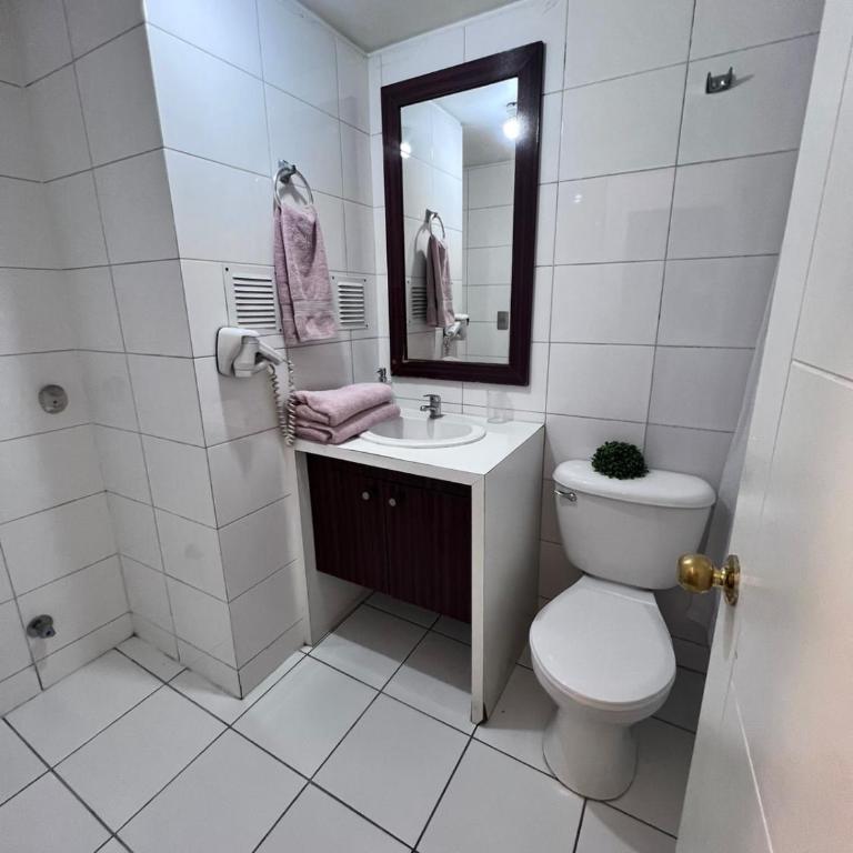 Santiago centro apart - One-Bedroom Apartment - 17