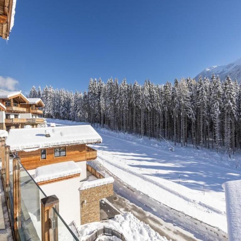 Chalet near Wildkogel Arena - Superior Chalet - 35
