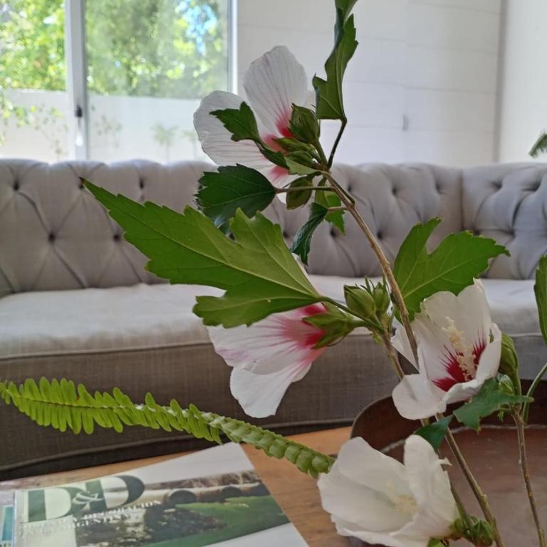 Casa Centrica en Colonia - Vistas Abiertas y Patio Natural - Three-Bedroom Vacation Home - 1