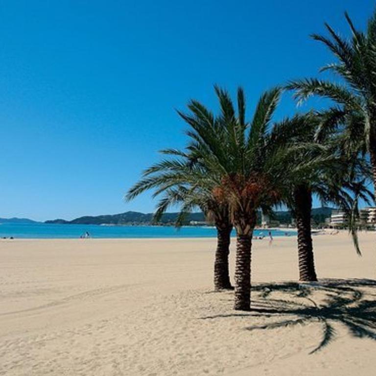 Appartement 2P en bord de mer avec parking, 4 couchages - Le Lavandou - FR-1-251-909 - Apartment - 11