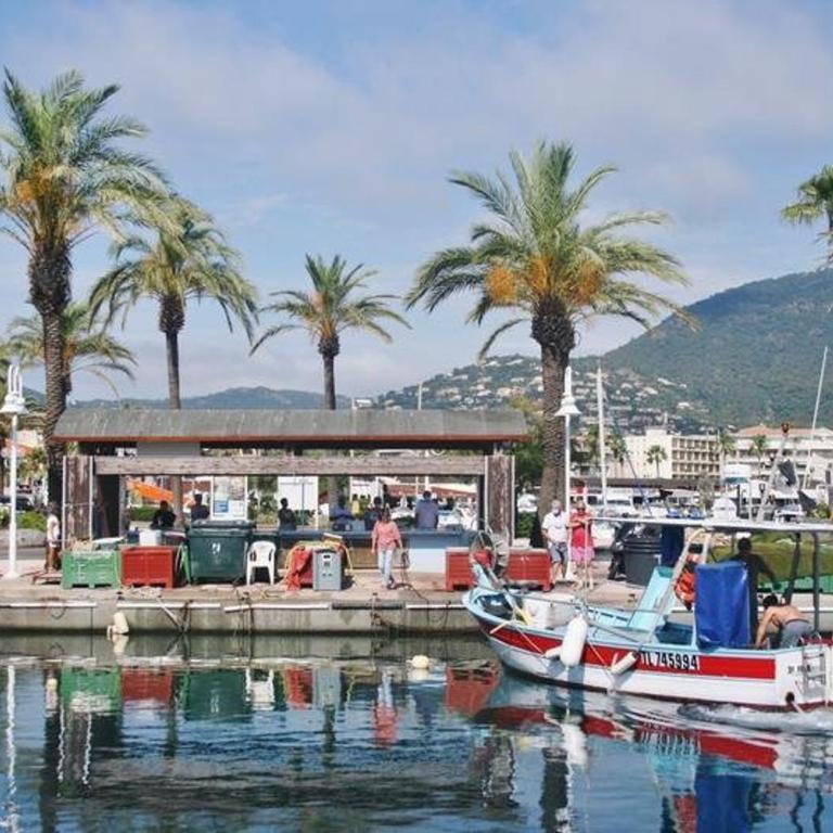 Appartement 2P en bord de mer avec parking, 4 couchages - Le Lavandou - FR-1-251-909 - Apartment - 13